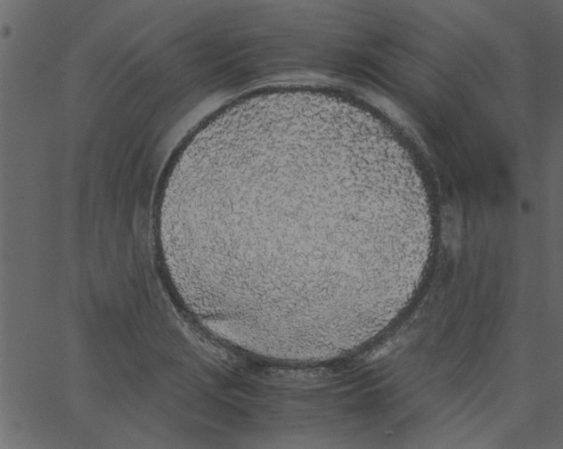 X0000062671229200601111235