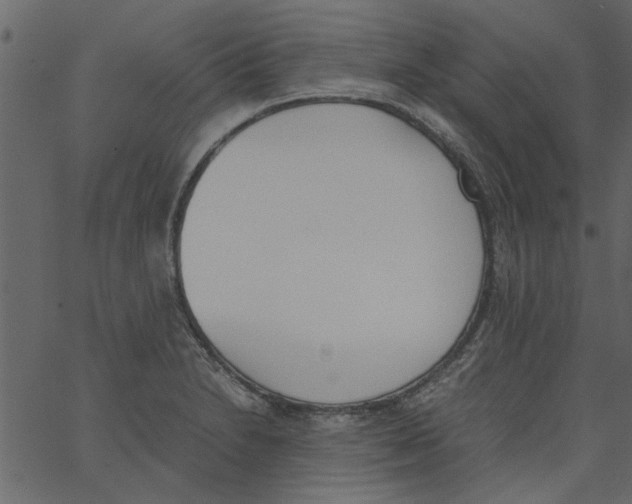 X0000062671230200601111235