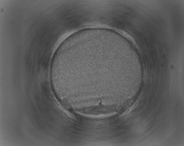 X0000062671231200601111235