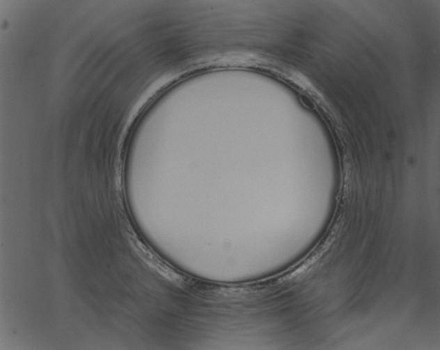 X0000062671232200601111235