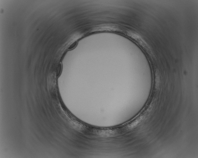 X0000062671233200601111235