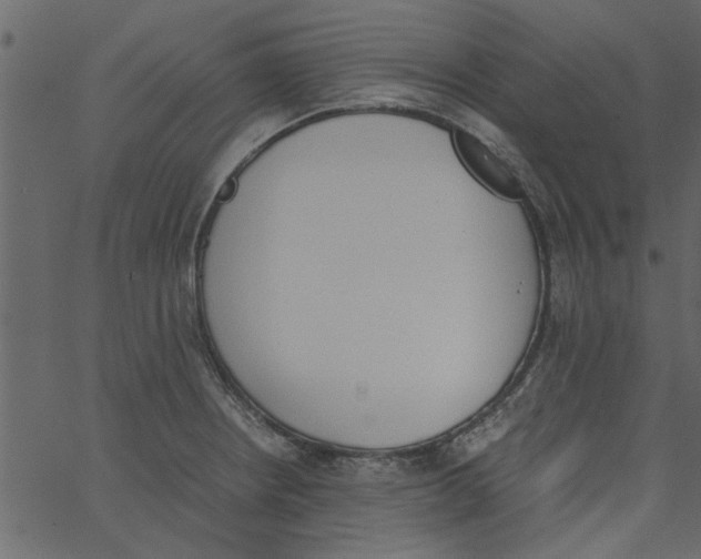 X0000062671234200601111235