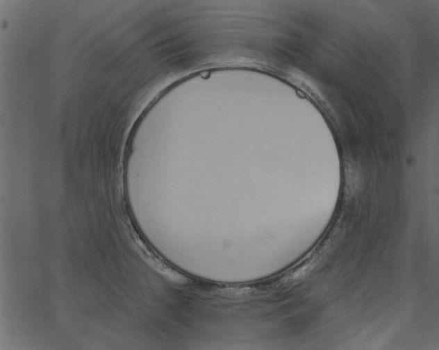 X0000062671236200601111236