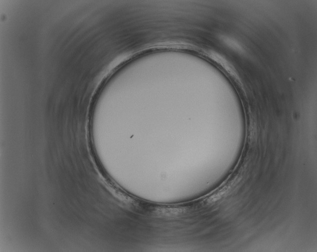 X0000062671237200601111236