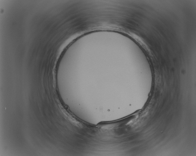 X0000062671238200601111236