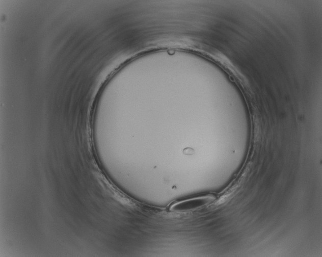 X0000062671240200601111236