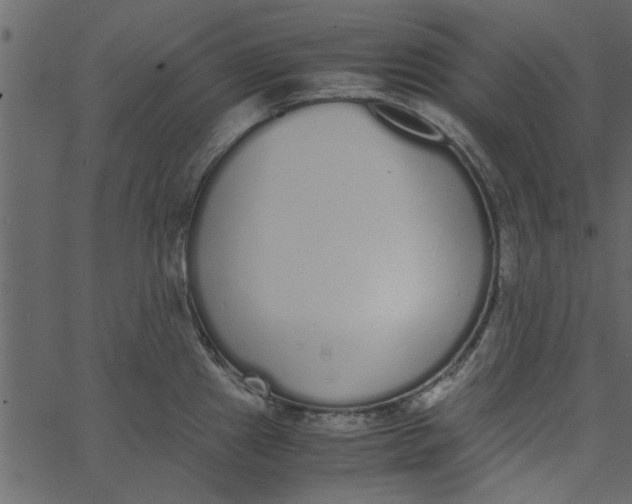 X0000062671241200601111236