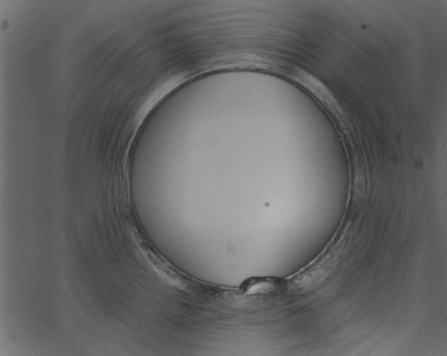 X0000062671242200601111236