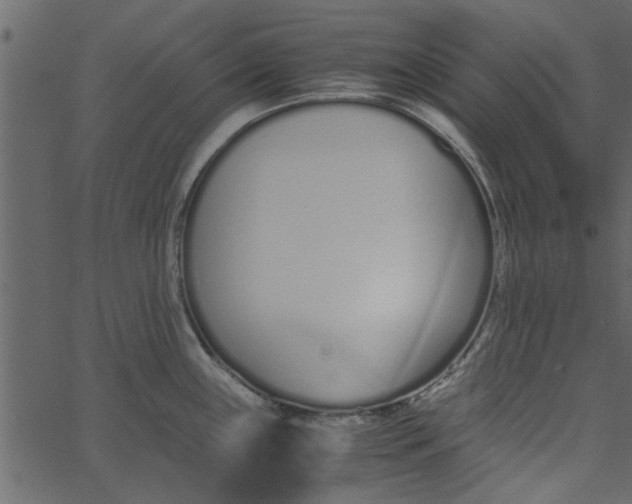 X0000062671243200601111236