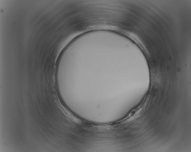 X0000062671244200601111236