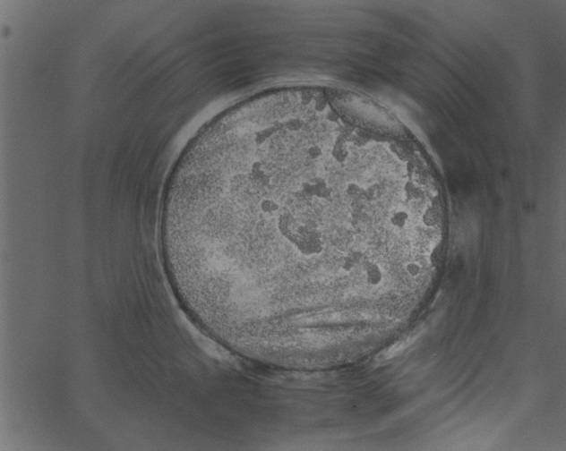 X0000062671245200601111236