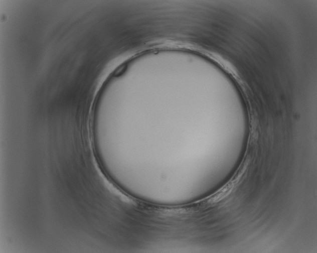 X0000062671247200601111236