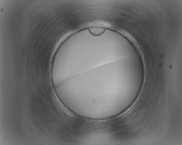 X0000062671248200601111236