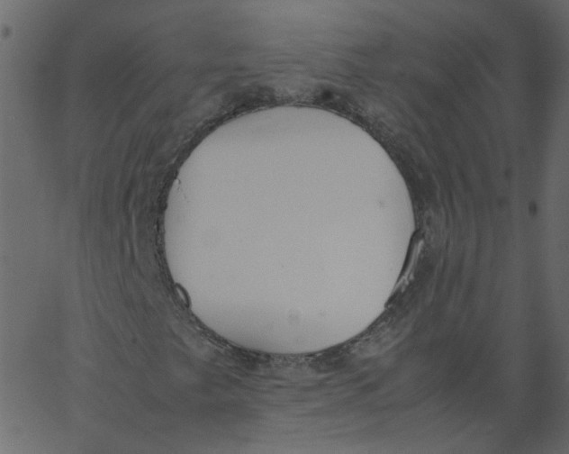 X0000062671249200601111235