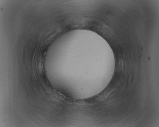 X0000062671250200601111235