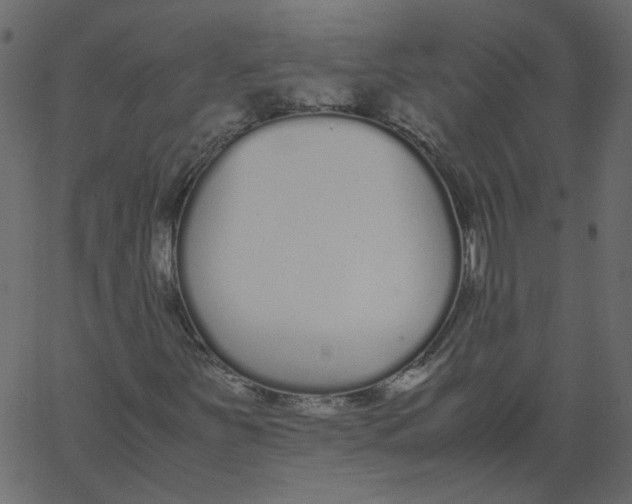 X0000062671251200601111235