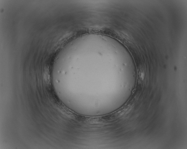 X0000062671252200601111235