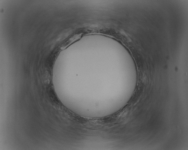 X0000062671253200601111235