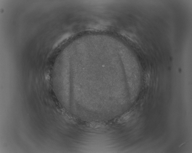 X0000062671254200601111235