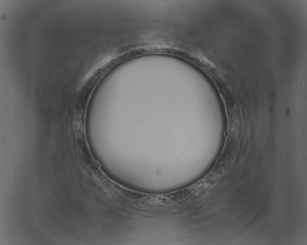 X0000062671255200601111235