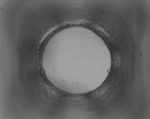 X0000062671256200601111235