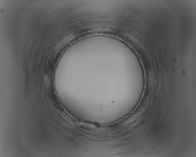 X0000062671257200601111235