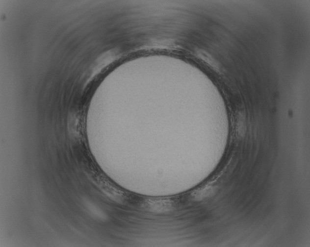 X0000062671258200601111235