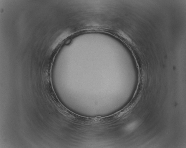 X0000062671259200601111235