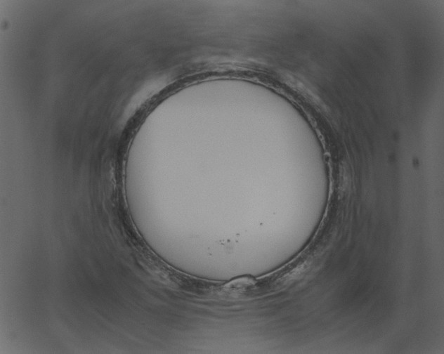 X0000062671261200601111235