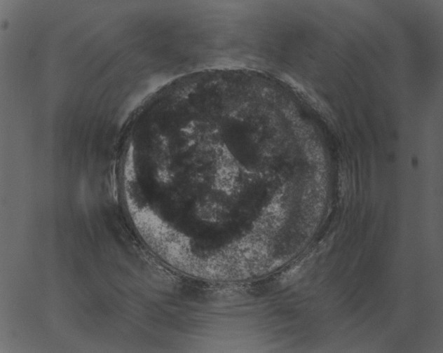 X0000062671262200601111235