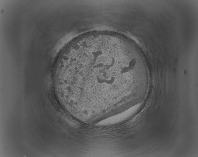 X0000062671263200601111235