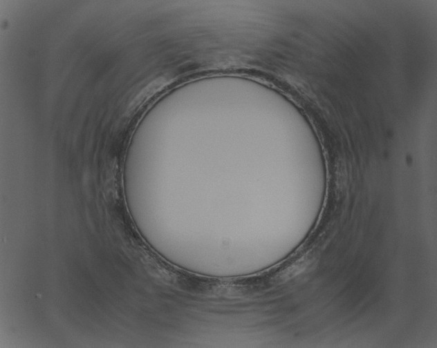 X0000062671265200601111235