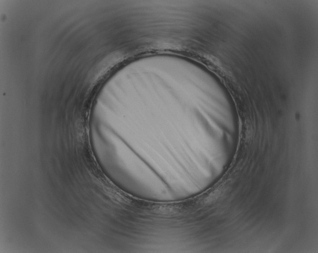 X0000062671266200601111235