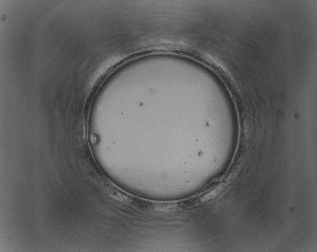 X0000062671267200601111235