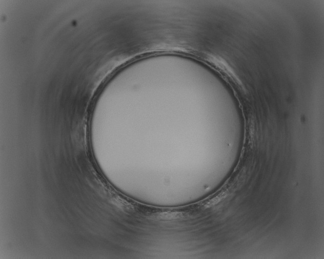 X0000062671268200601111235