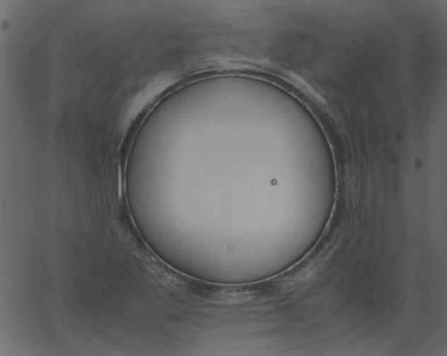 X0000062671269200601111235