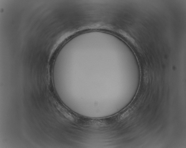 X0000062671270200601111235