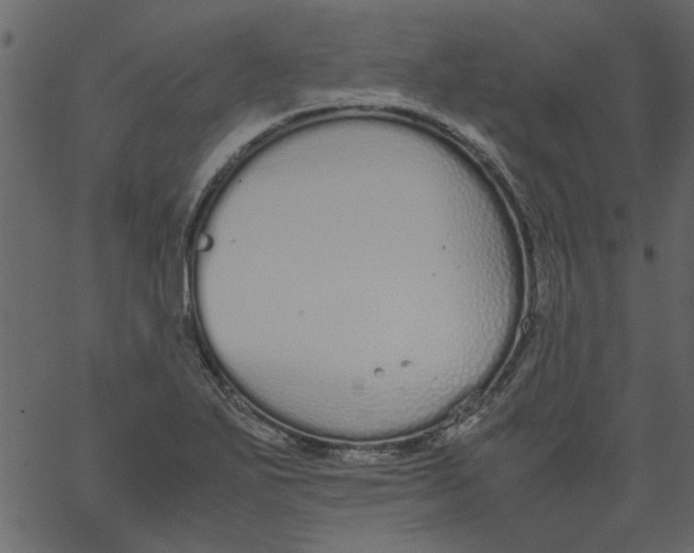 X0000062671271200601111235