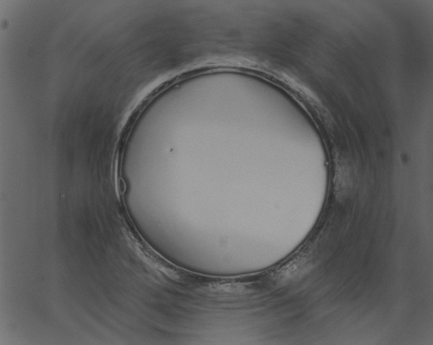 X0000062671272200601111235