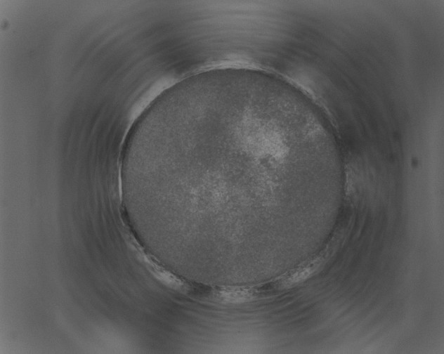 X0000062671274200601111235