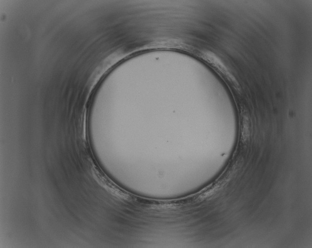 X0000062671276200601111234