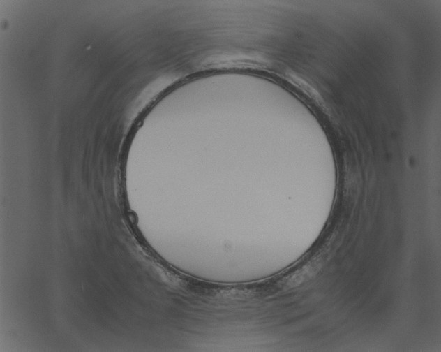 X0000062671277200601111234