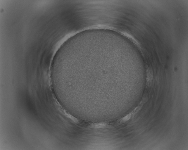 X0000062671278200601111234