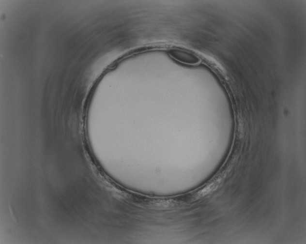 X0000062671279200601111234