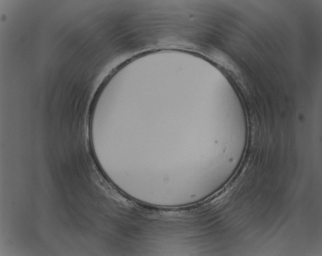 X0000062671280200601111234