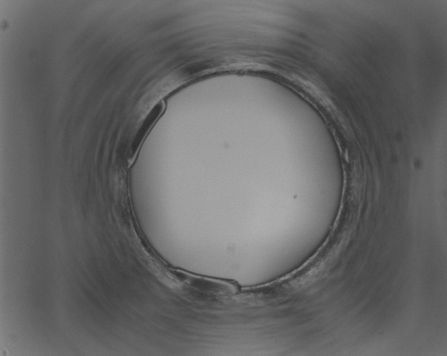 X0000062671281200601111234