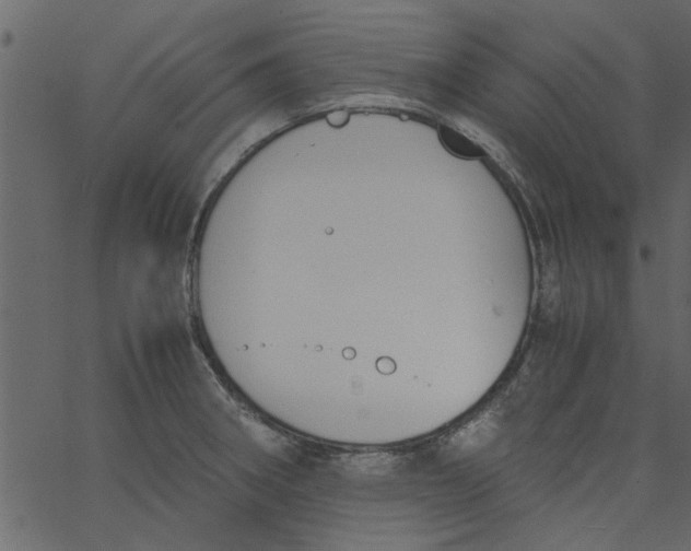 X0000062671282200601111234