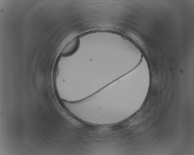 X0000062671283200601111234