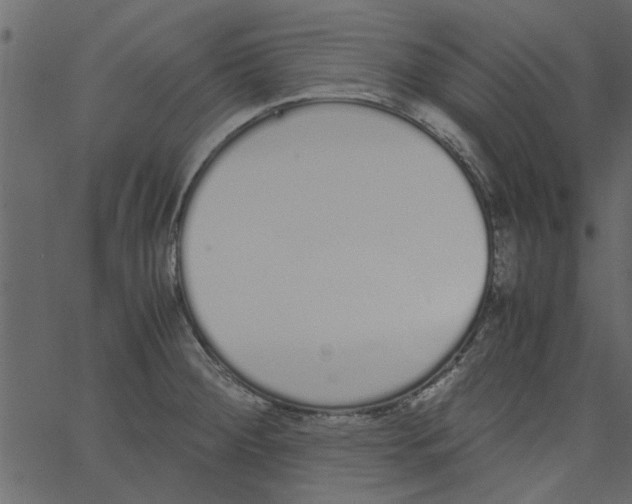 X0000062671284200601111234