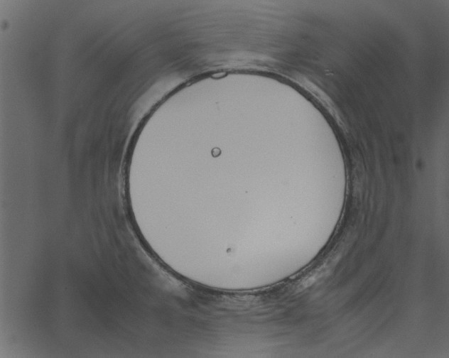 X0000062671285200601111234